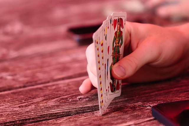 card game, bavaria, card player, playing cards, game